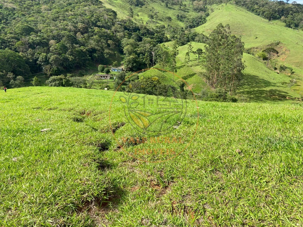 Haras e Área Rural Padrão à venda - Foto 11