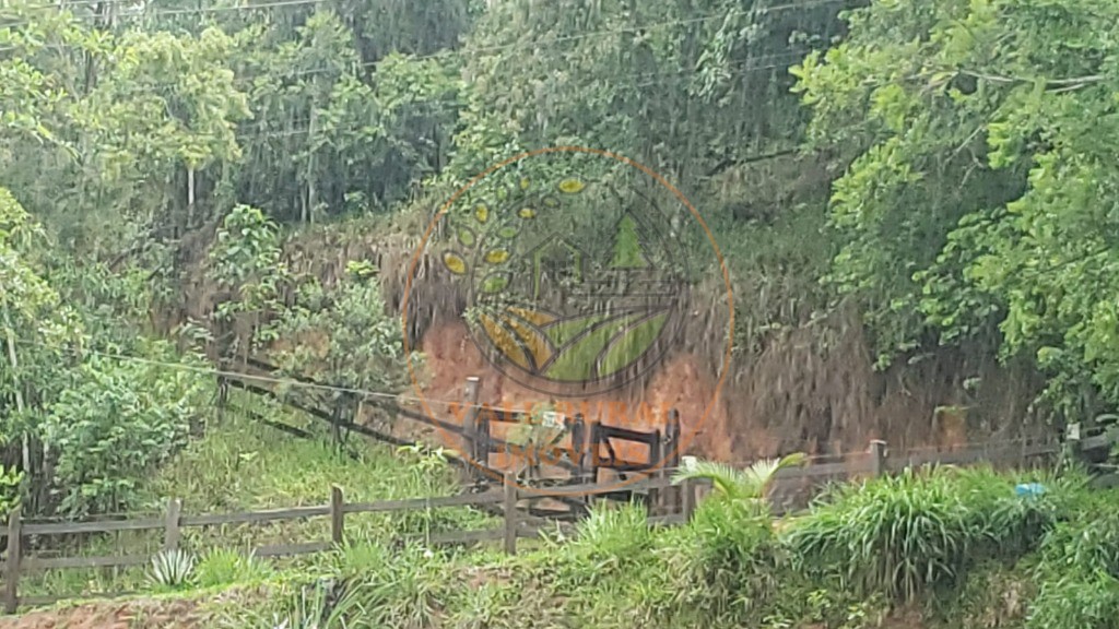 Haras e Área Rural Padrão à venda - Foto 4