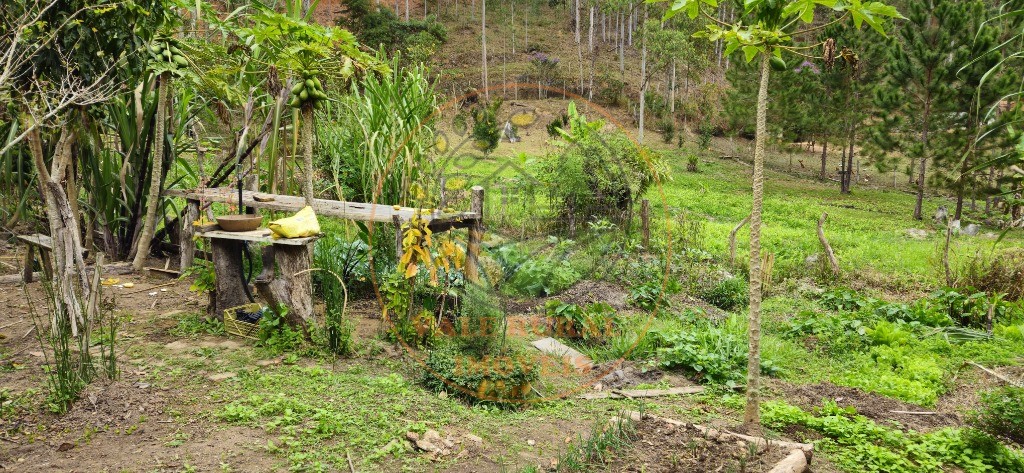 Sítio, 8 quartos - Foto 19