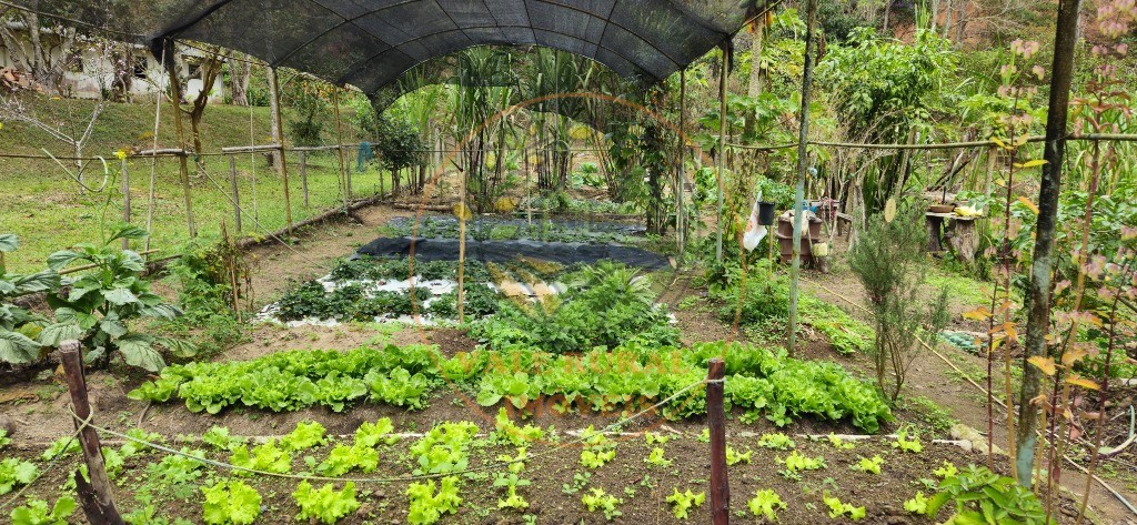 Sítio, 8 quartos - Foto 18