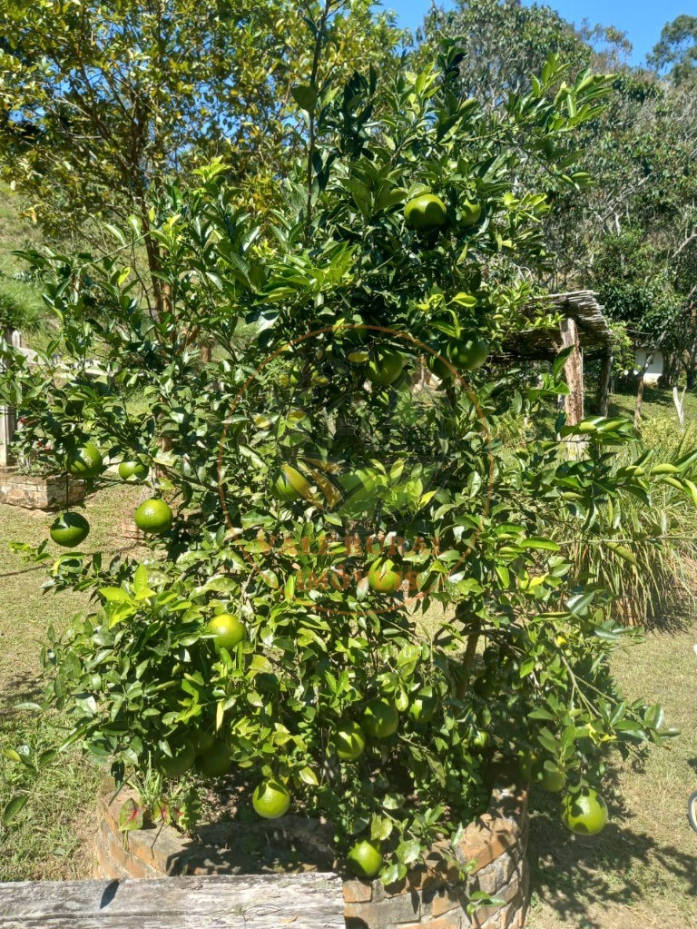 Sítio, 8 quartos - Foto 63