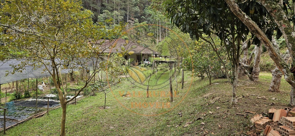 Sítio, 8 quartos - Foto 15