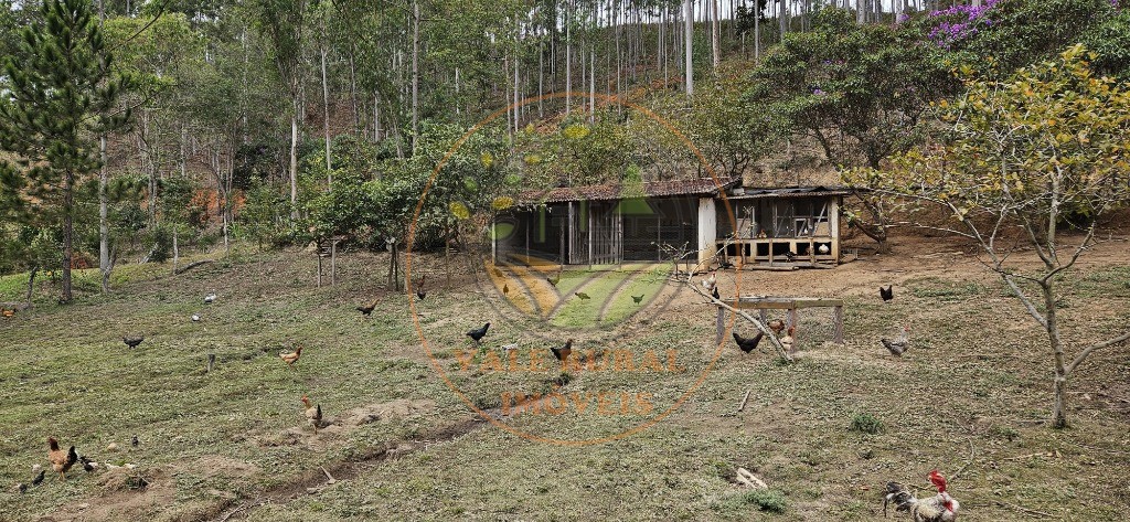 Sítio, 8 quartos - Foto 20