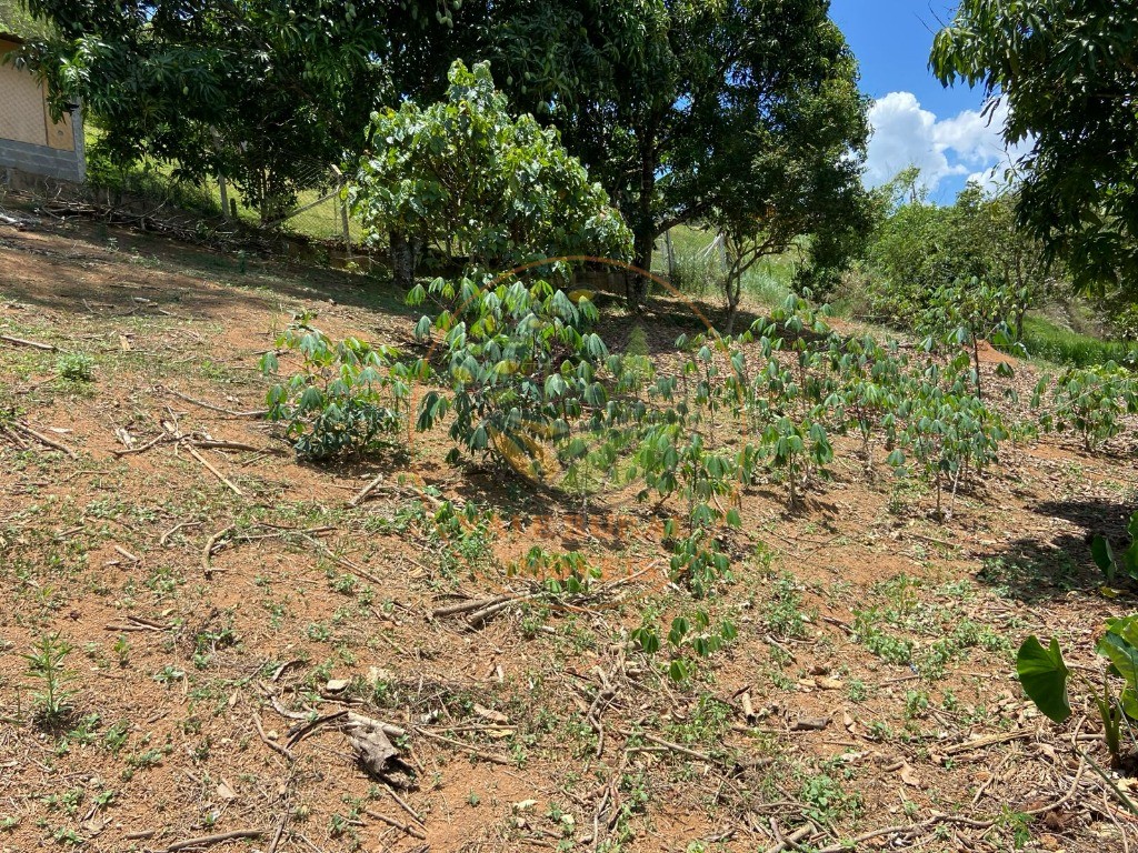 Chácara à venda - Foto 5