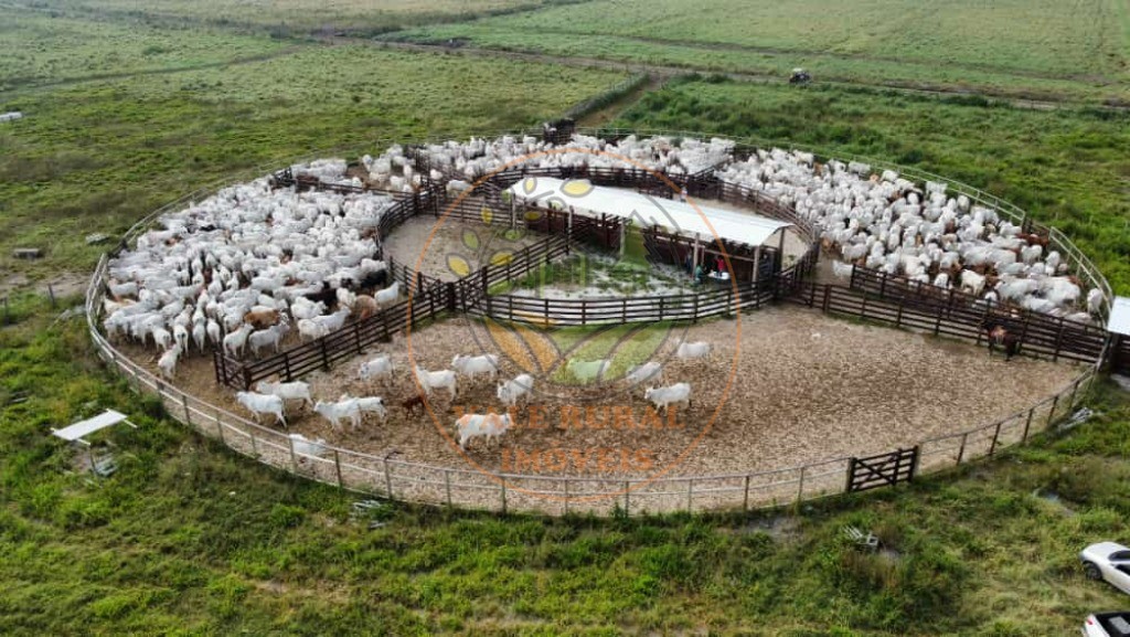 Fazenda à venda - Foto 6