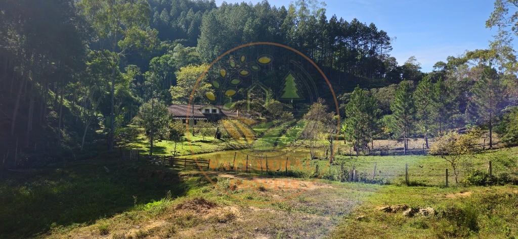 Sítio, 8 quartos - Foto 25