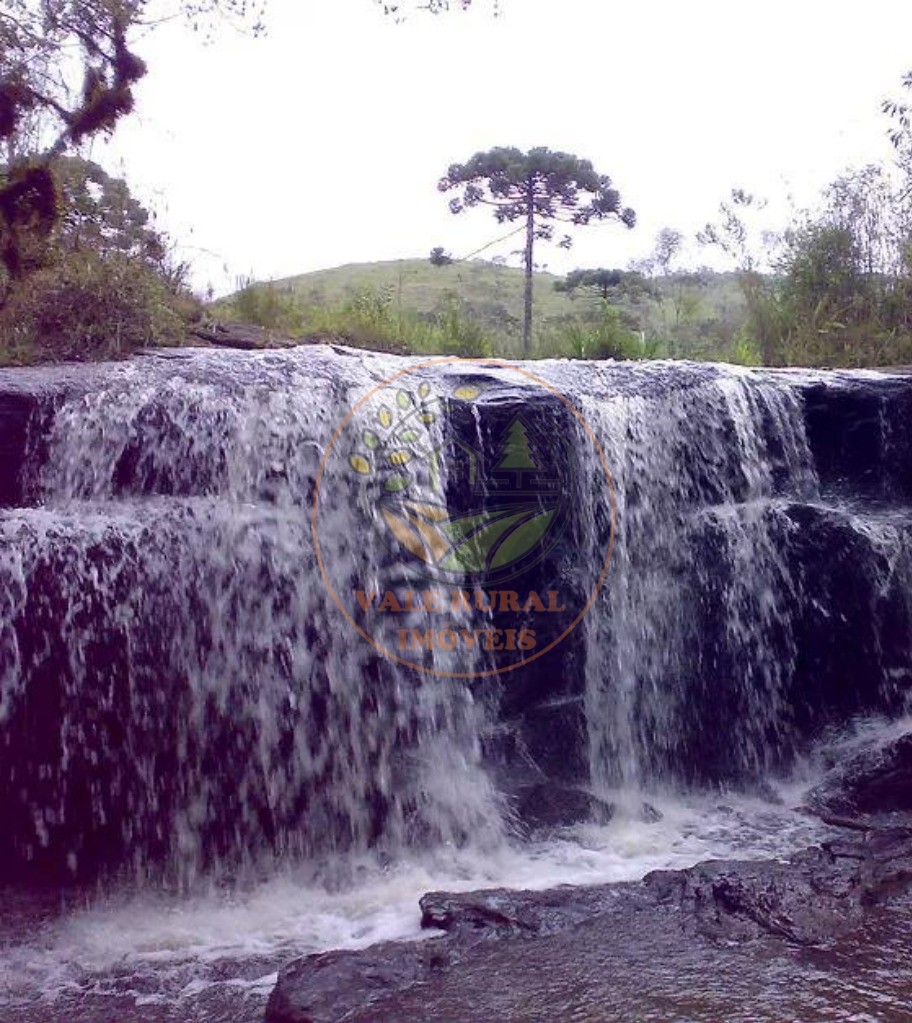 Fazenda à venda - Foto 2