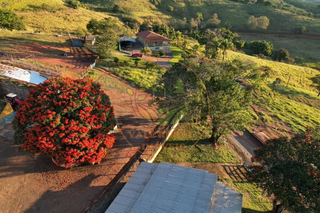 Fazenda à venda - Foto 15