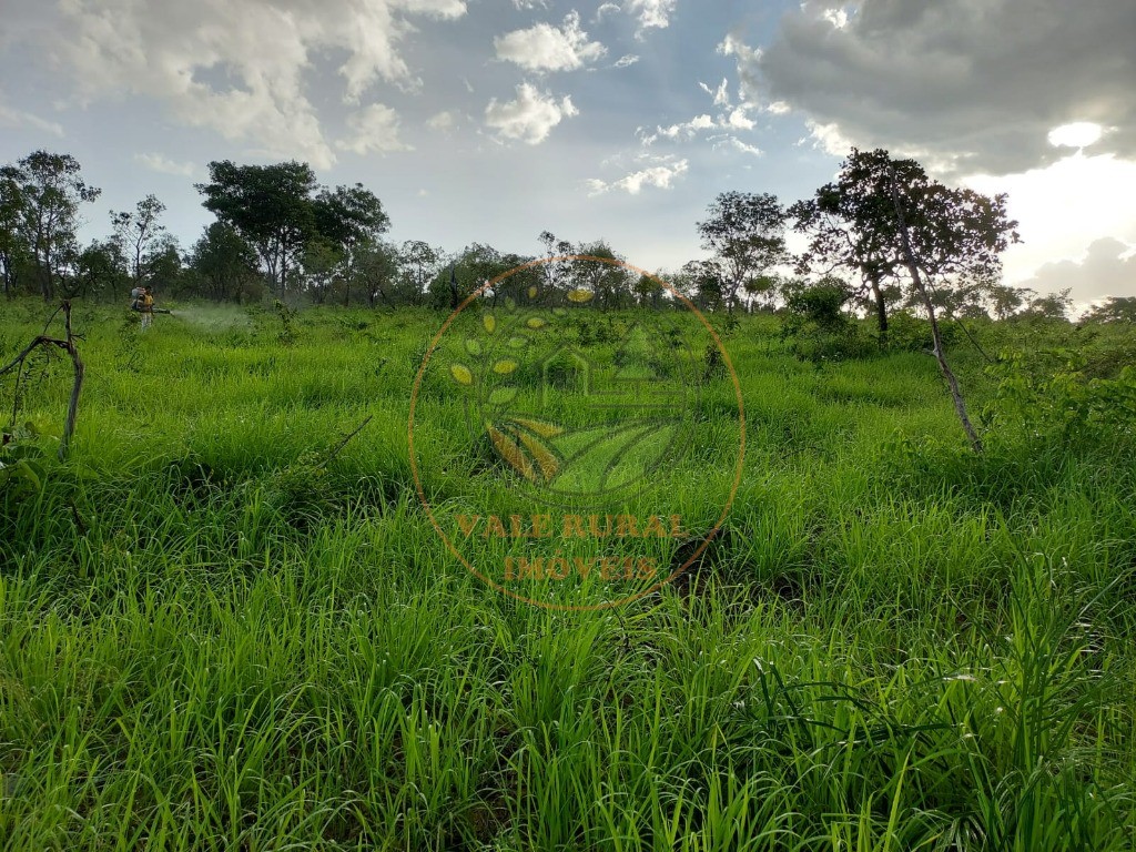 Fazenda à venda - Foto 2