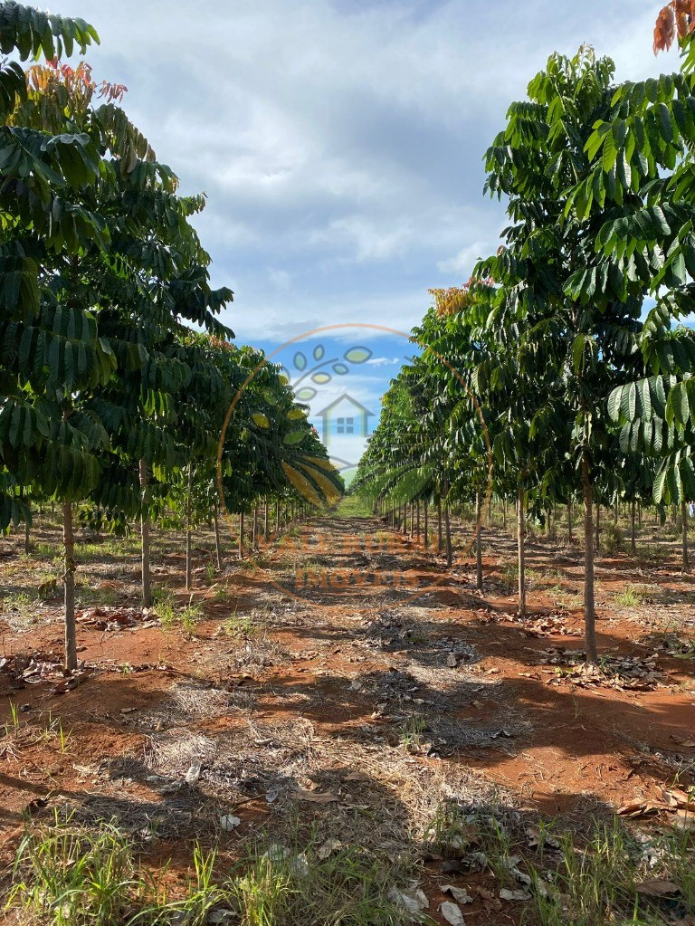 Fazenda à venda - Foto 9