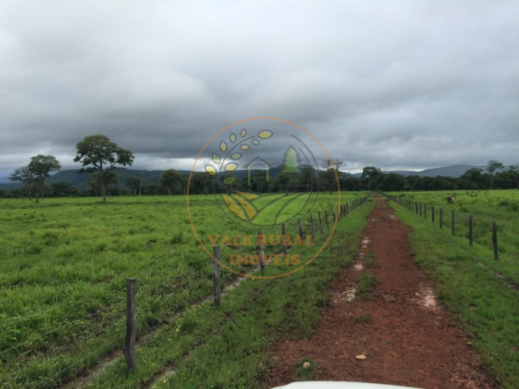 Fazenda à venda com 2 quartos - Foto 9