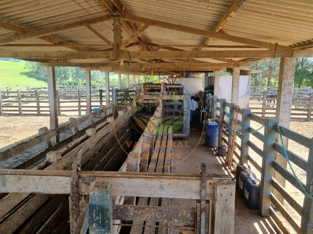 Fazenda à venda com 3 quartos - Foto 10