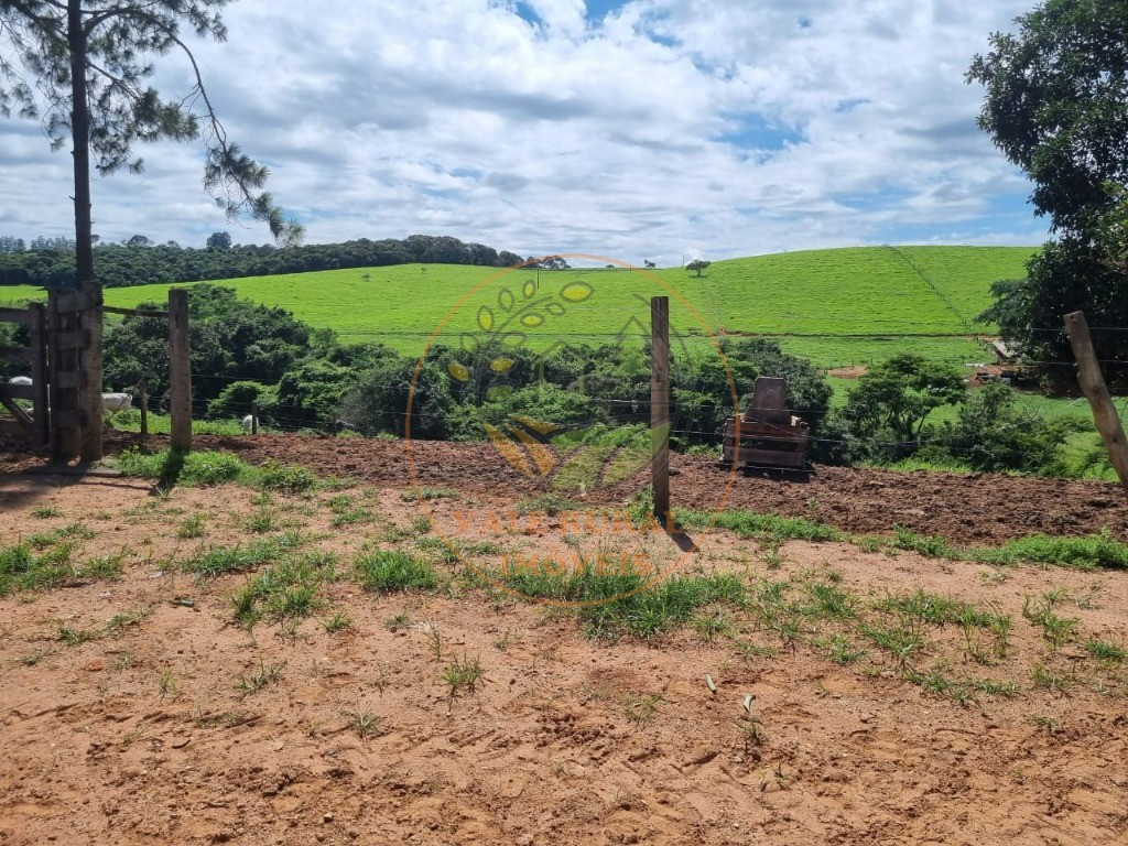 Fazenda à venda com 3 quartos - Foto 41