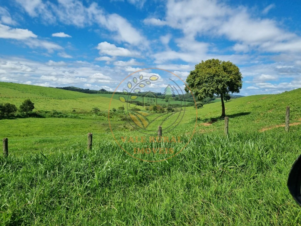 Fazenda à venda com 3 quartos - Foto 23