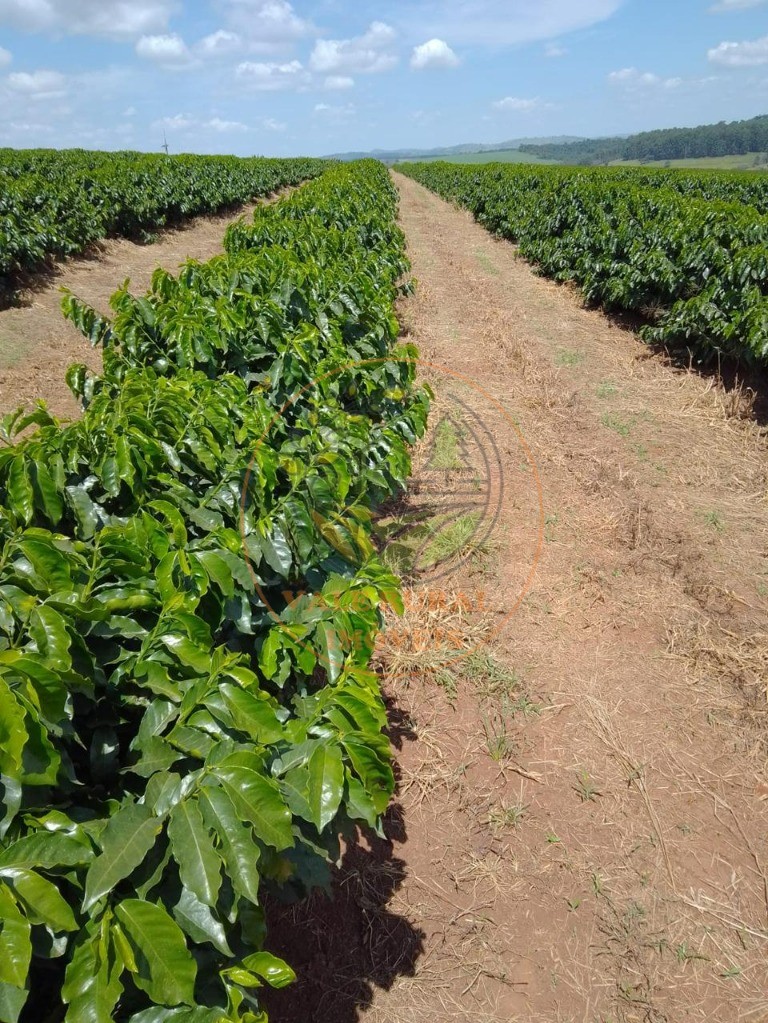 Fazenda à venda - Foto 9