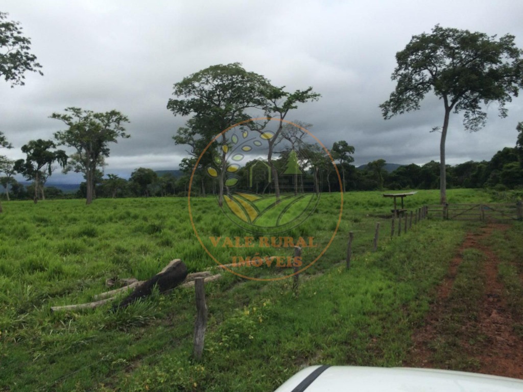 Fazenda à venda com 2 quartos - Foto 28