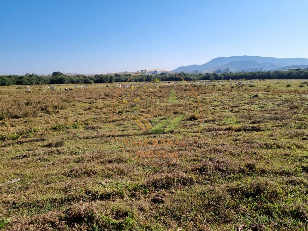 Fazenda à venda com 2 quartos - Foto 11