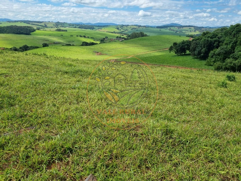 Fazenda à venda com 3 quartos - Foto 46