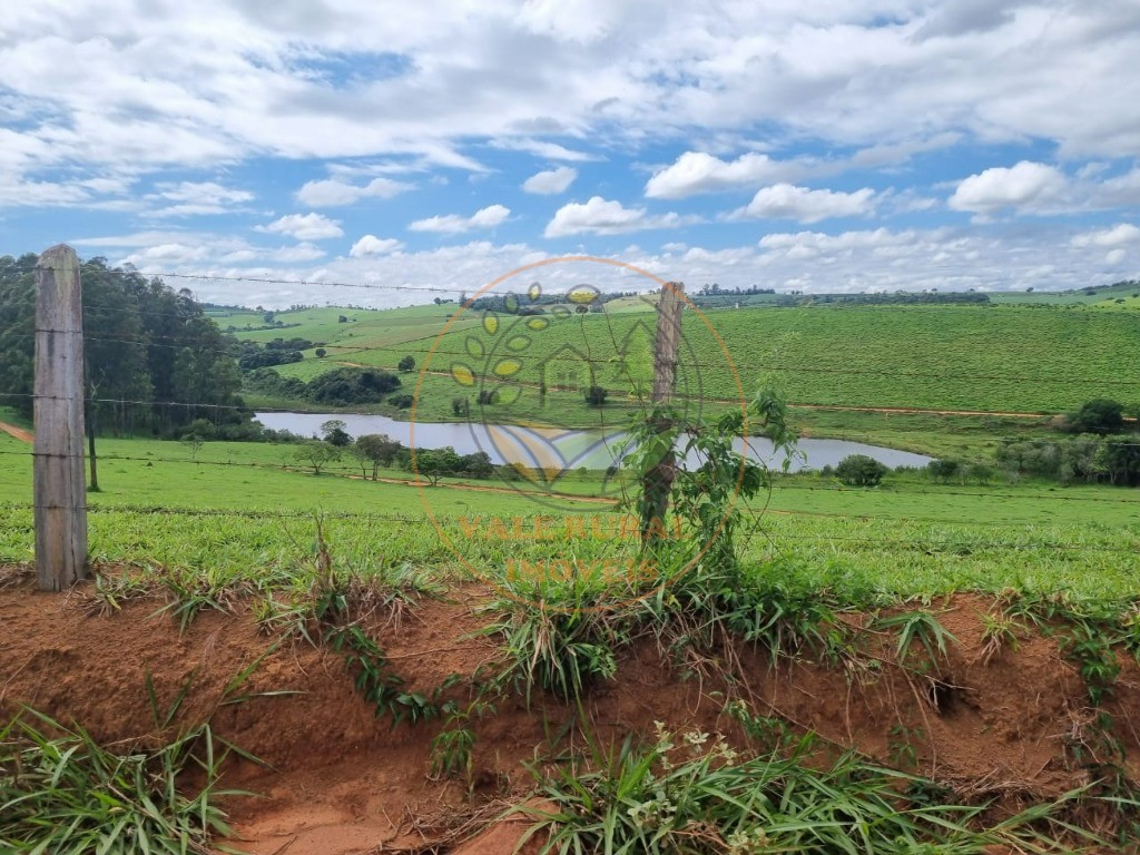 Fazenda à venda com 3 quartos - Foto 50