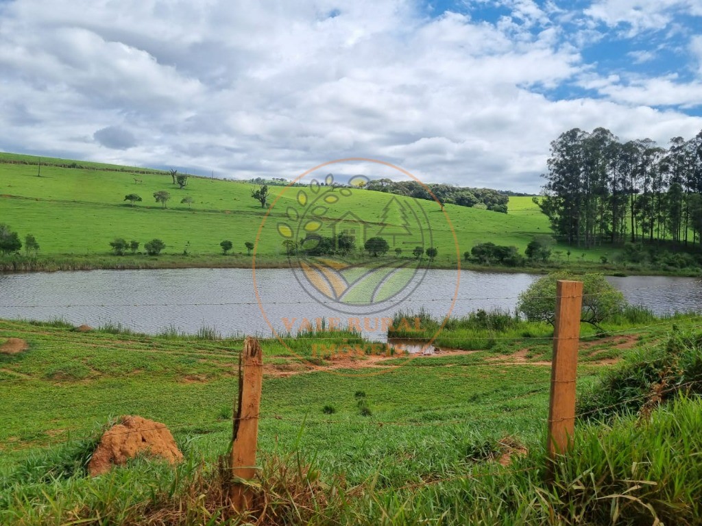 Fazenda à venda com 3 quartos - Foto 44