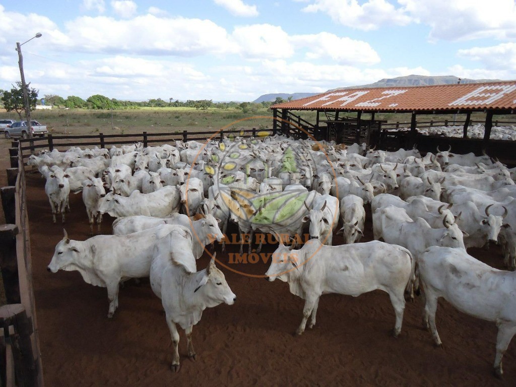 Fazenda à venda com 2 quartos - Foto 2