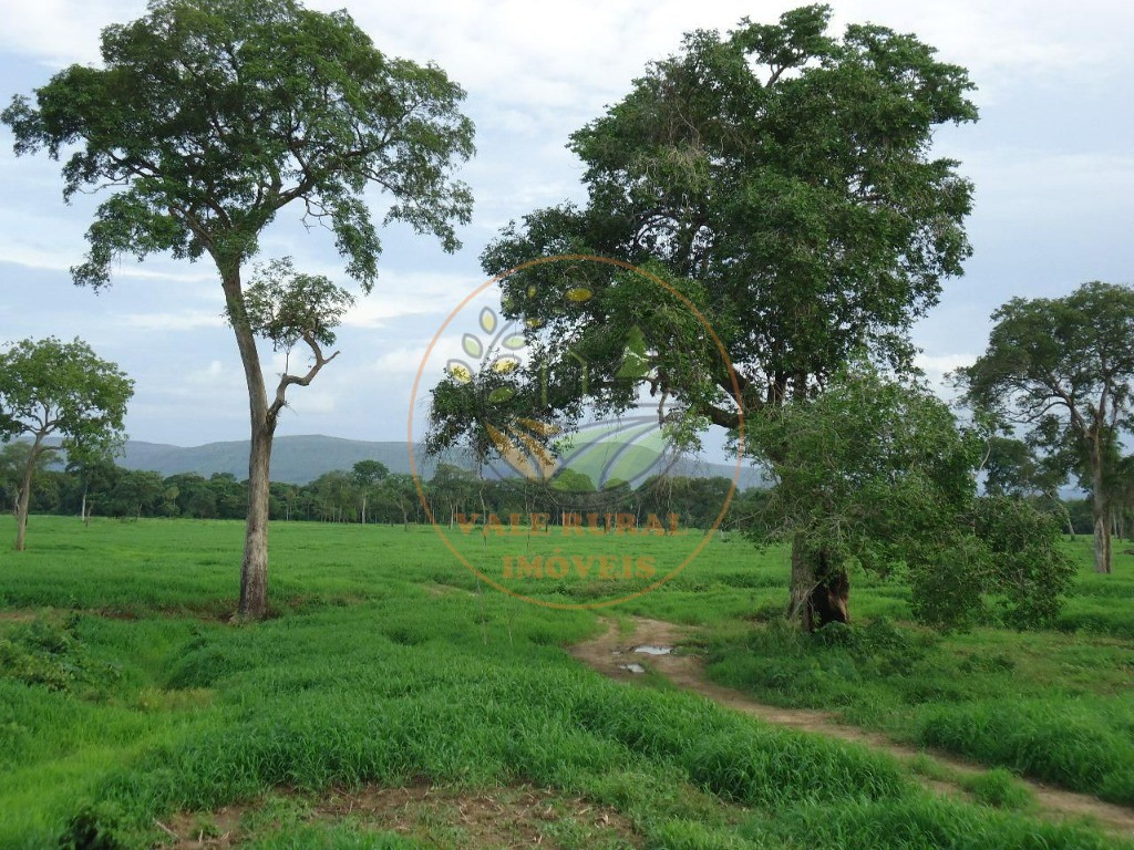 Fazenda à venda com 2 quartos - Foto 20