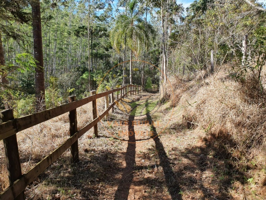 Fazenda, 45 m² - Foto 14