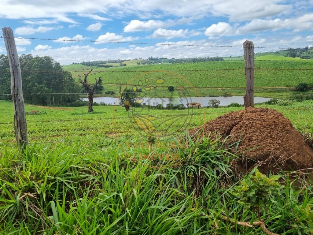 Fazenda à venda com 3 quartos - Foto 43