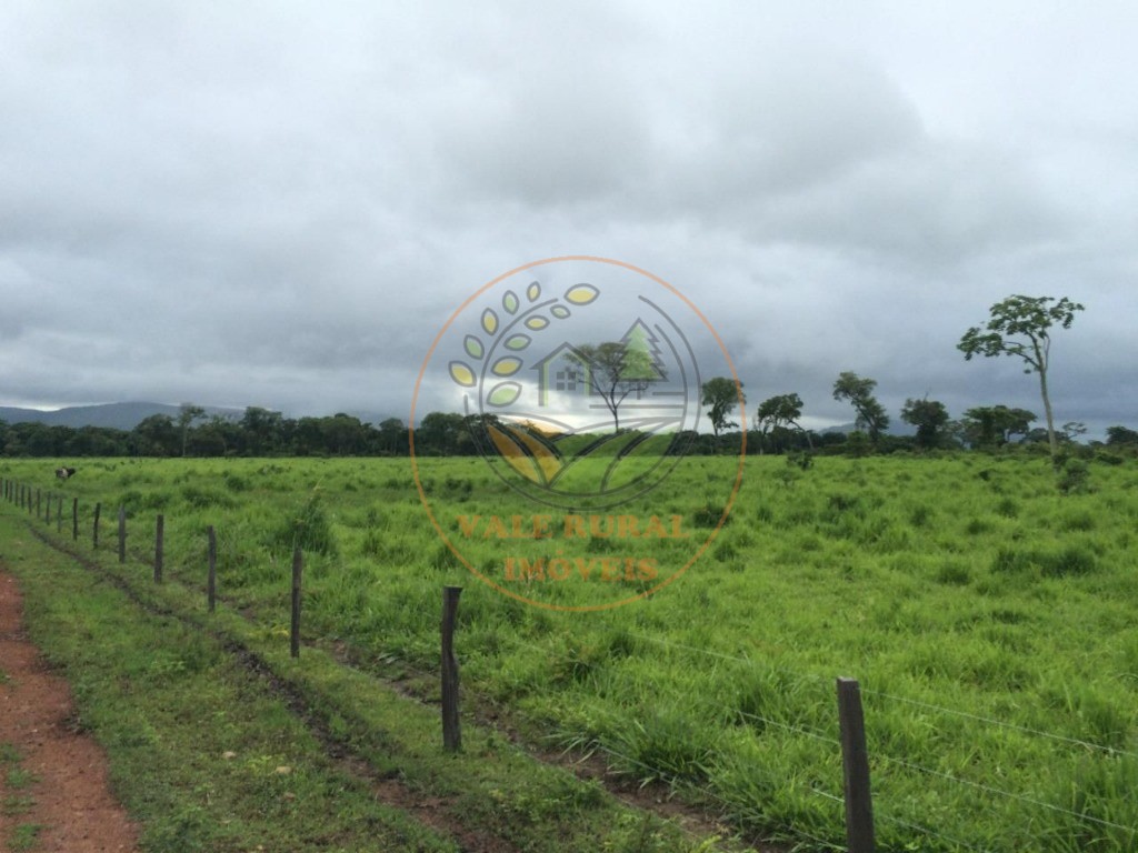 Fazenda à venda com 2 quartos - Foto 7