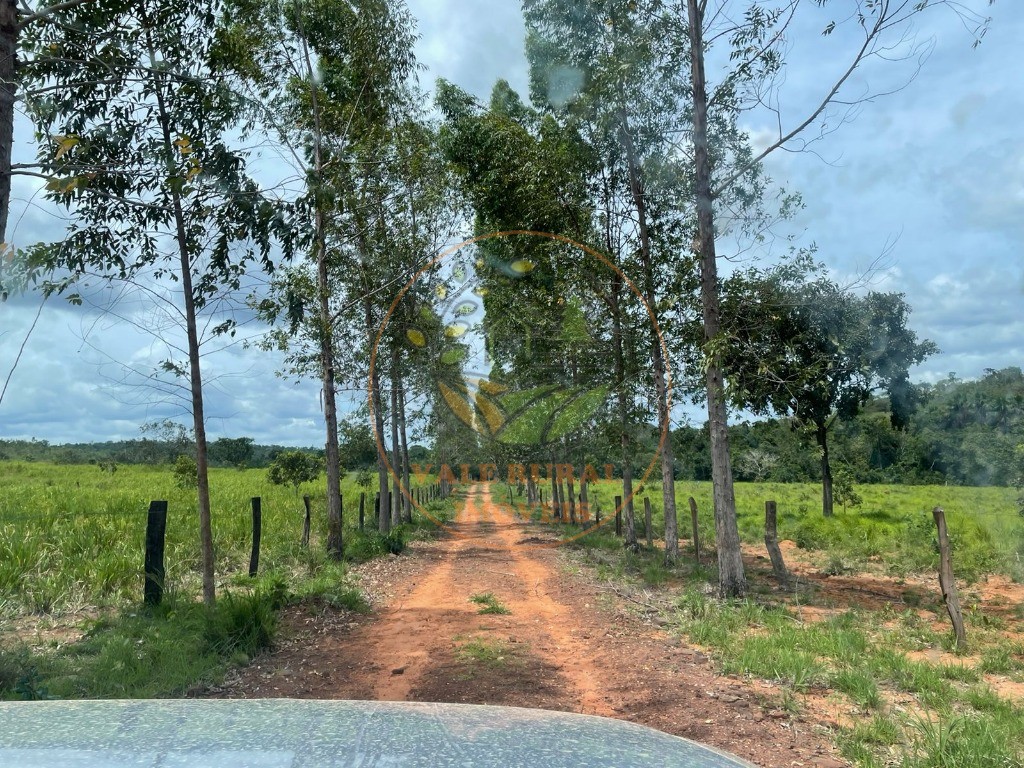 Fazenda à venda - Foto 15