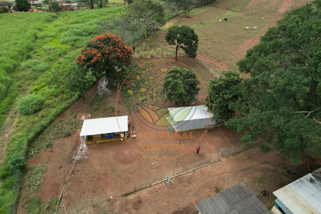 Fazenda à venda - Foto 4