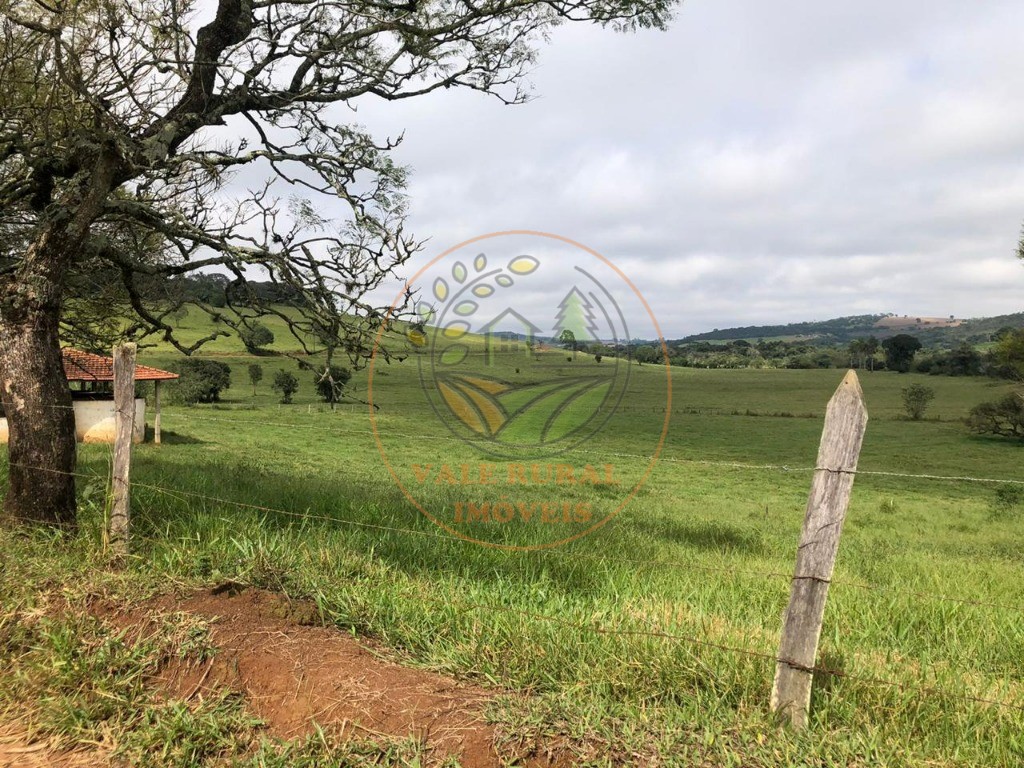 Fazenda à venda - Foto 19