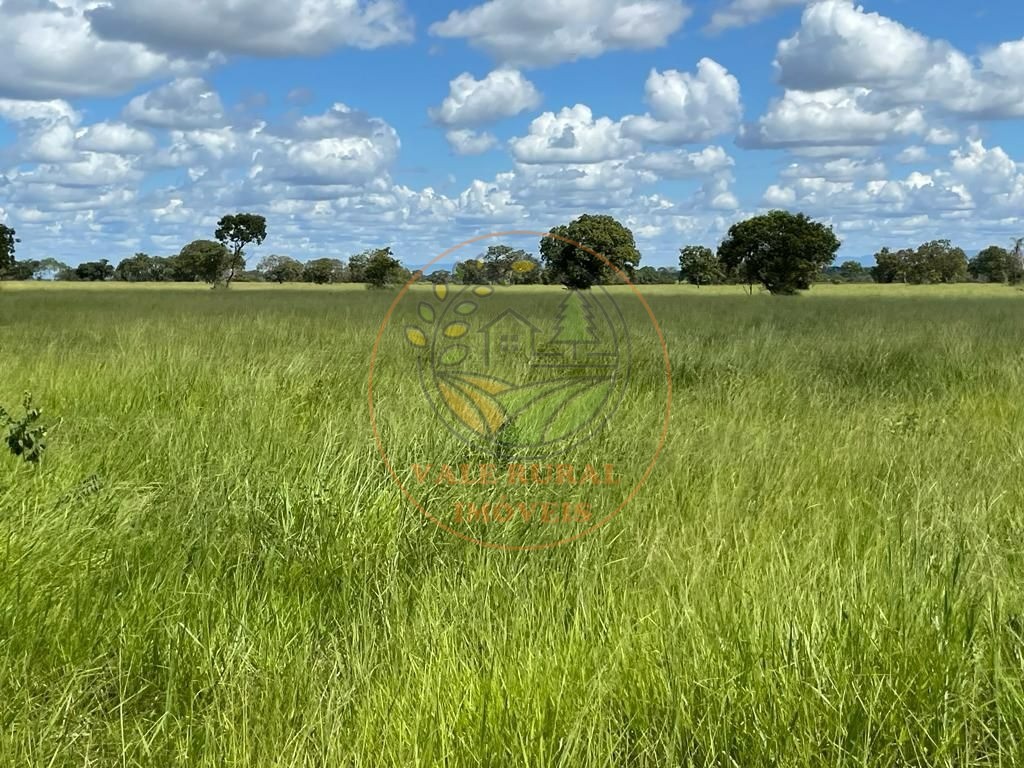 Fazenda à venda com 2 quartos - Foto 17