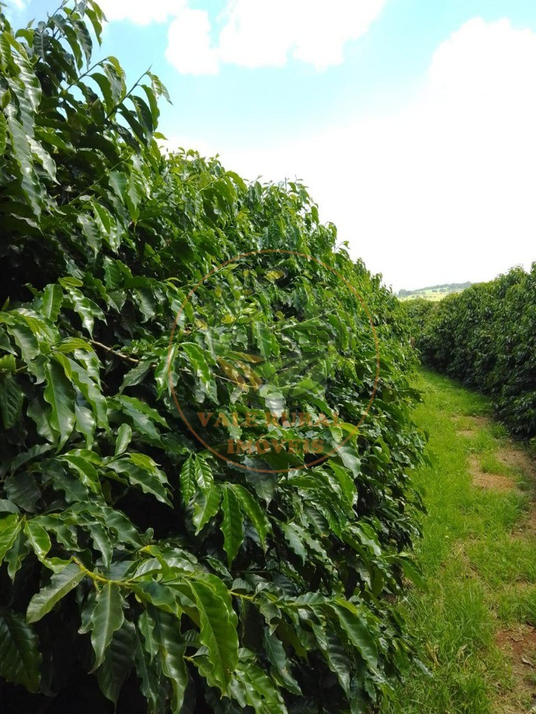 Fazenda à venda - Foto 7