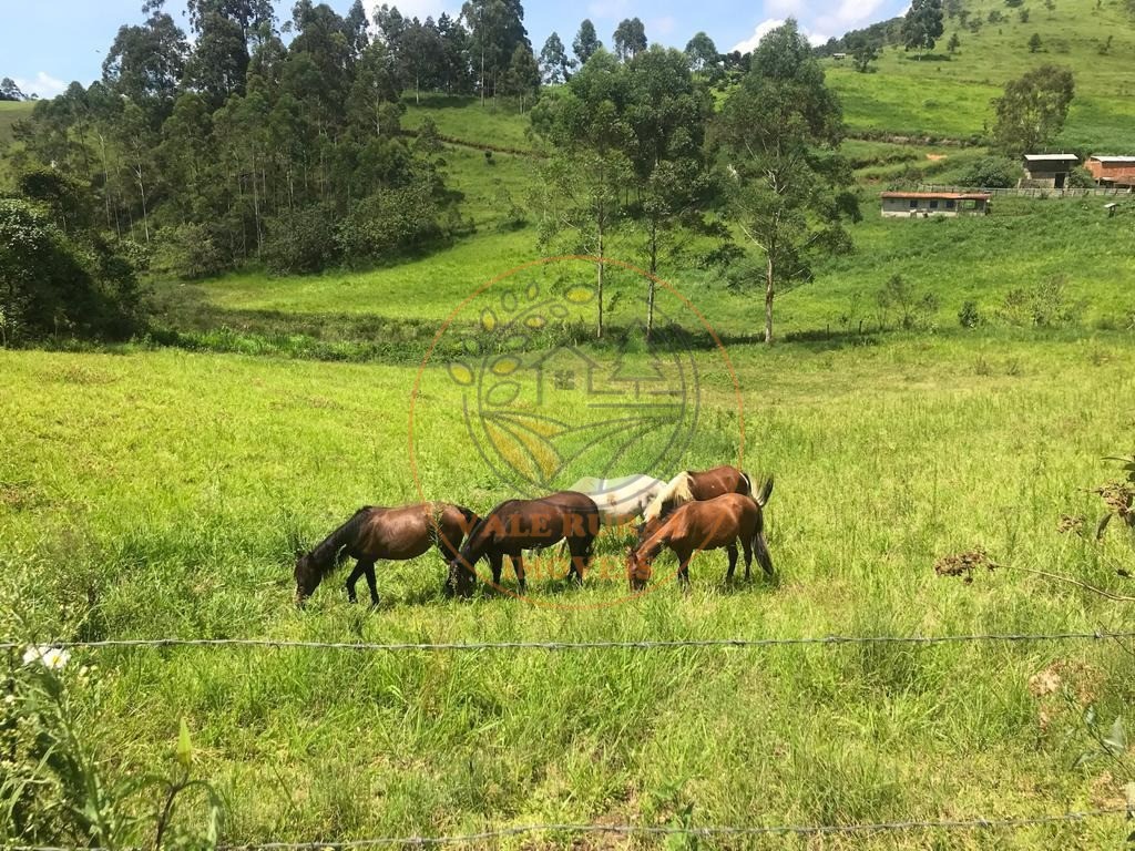 Fazenda à venda - Foto 6