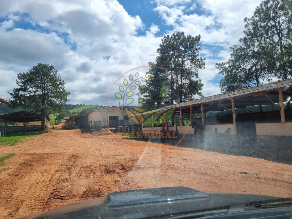 Fazenda à venda com 3 quartos - Foto 45