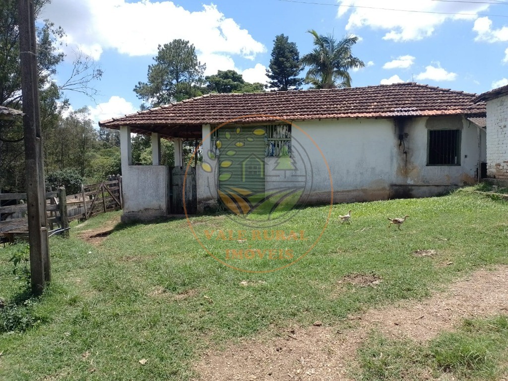 Fazenda à venda - Foto 3