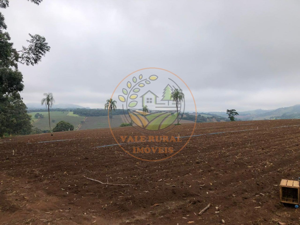 Fazenda à venda - Foto 8