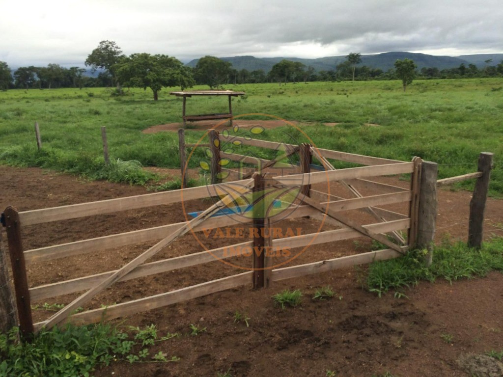 Fazenda à venda com 2 quartos - Foto 5