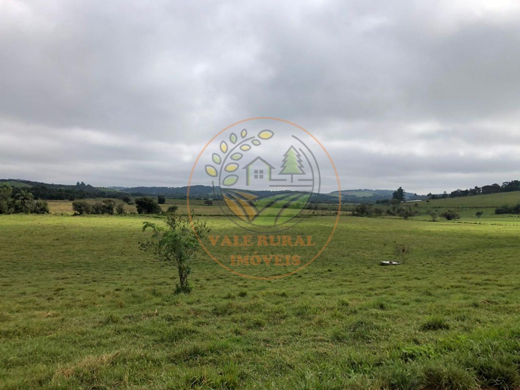 Fazenda à venda - Foto 22