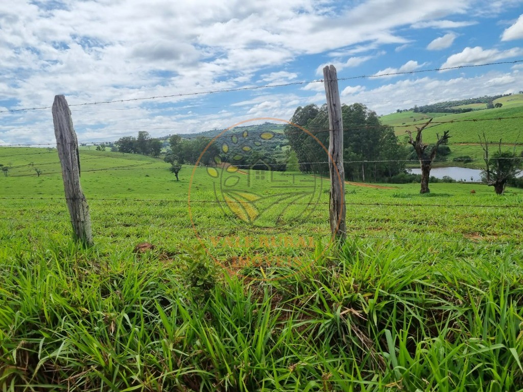 Fazenda à venda com 3 quartos - Foto 20