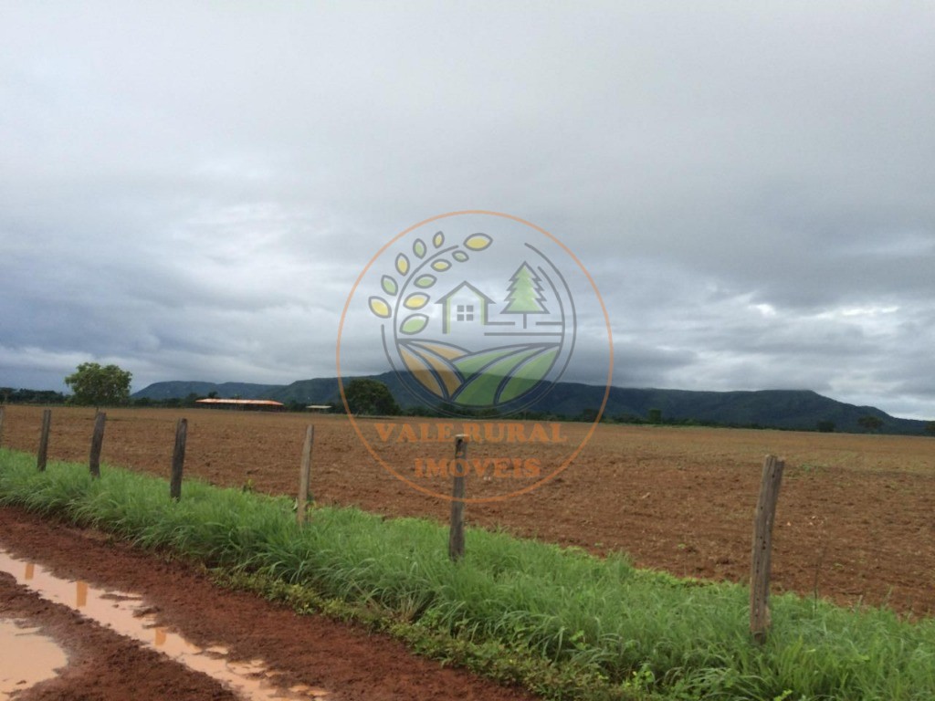 Fazenda à venda com 2 quartos - Foto 6