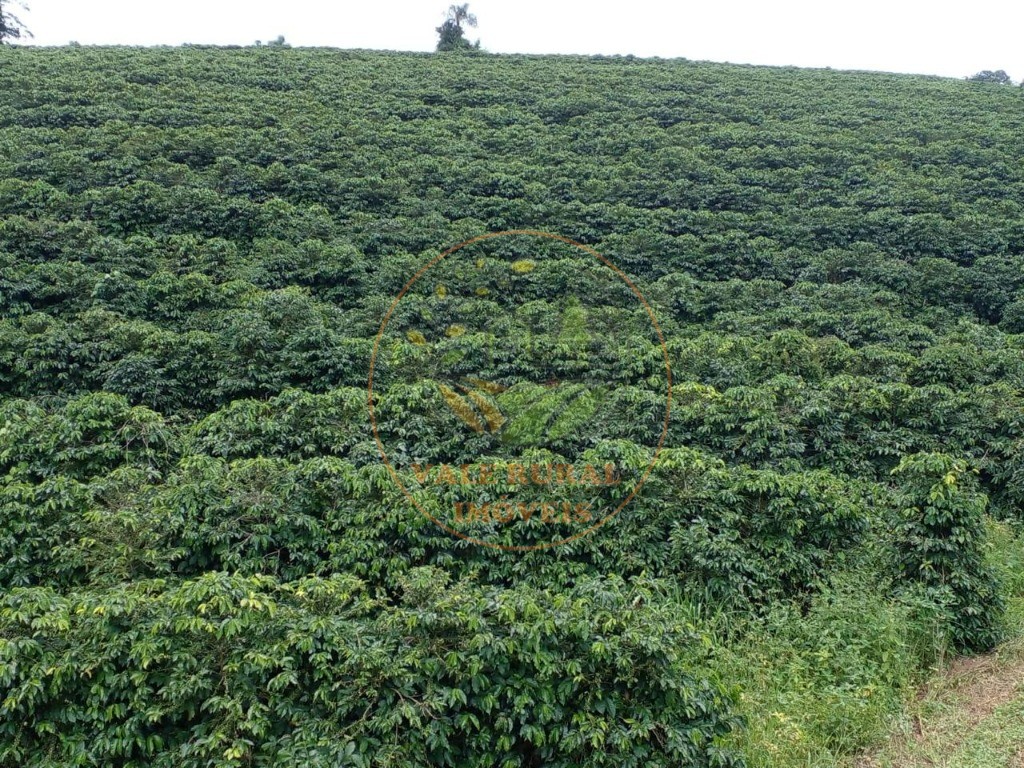 Fazenda à venda - Foto 2