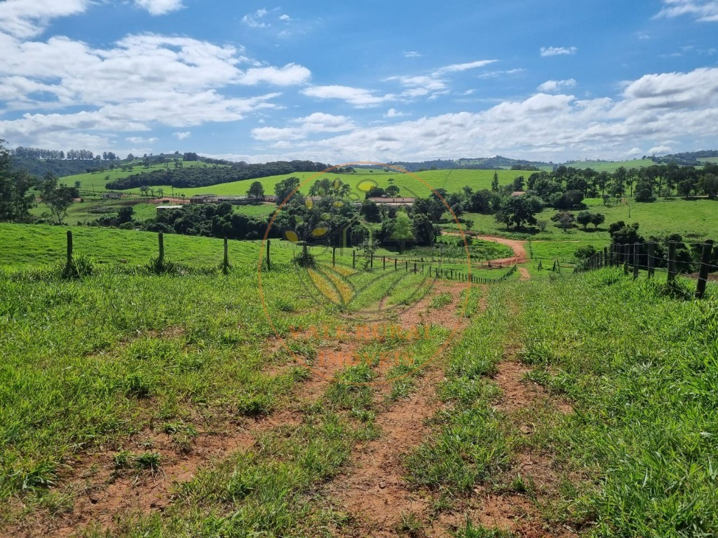 Fazenda à venda com 3 quartos - Foto 19