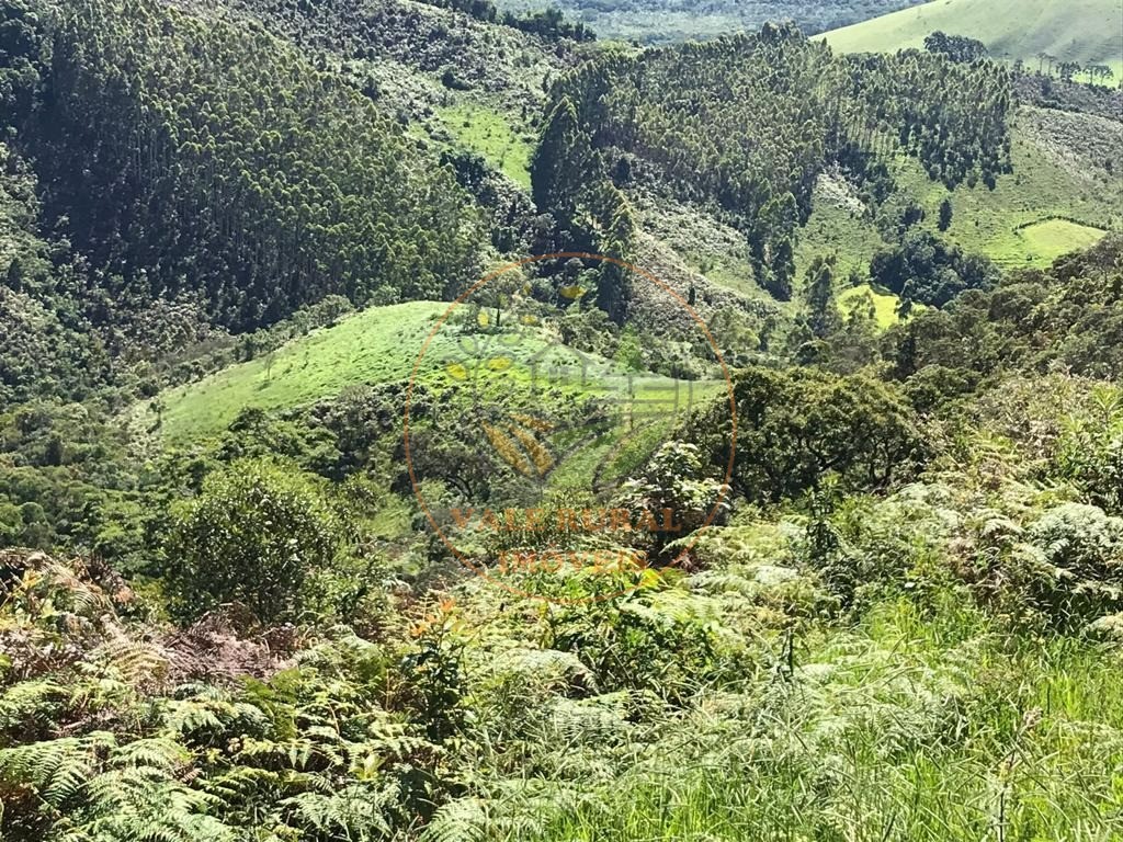 Fazenda à venda - Foto 9