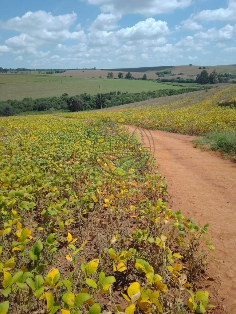 Fazenda à venda - Foto 10