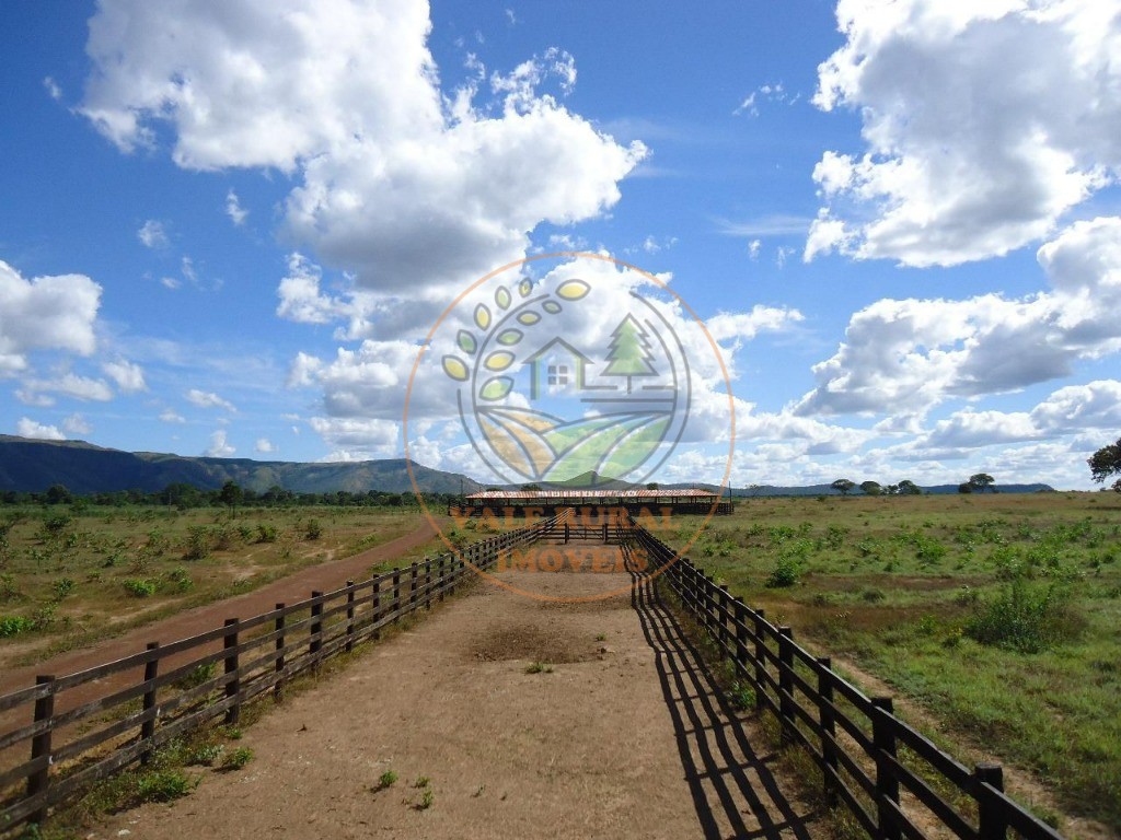 Fazenda à venda com 2 quartos - Foto 4