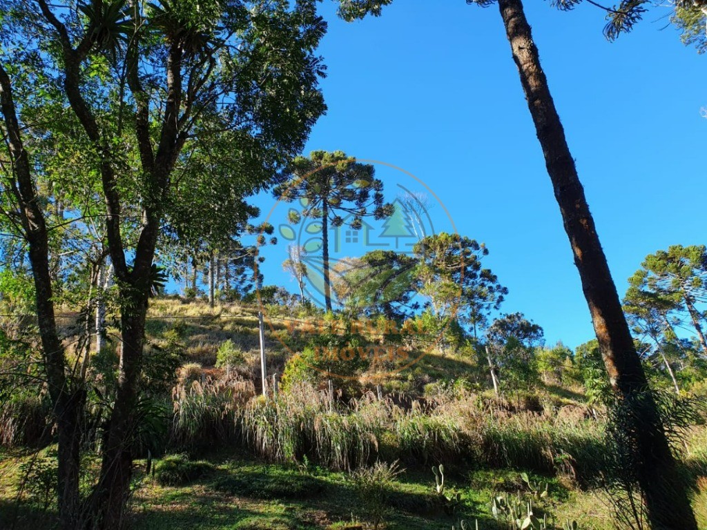 Fazenda, 45 m² - Foto 15