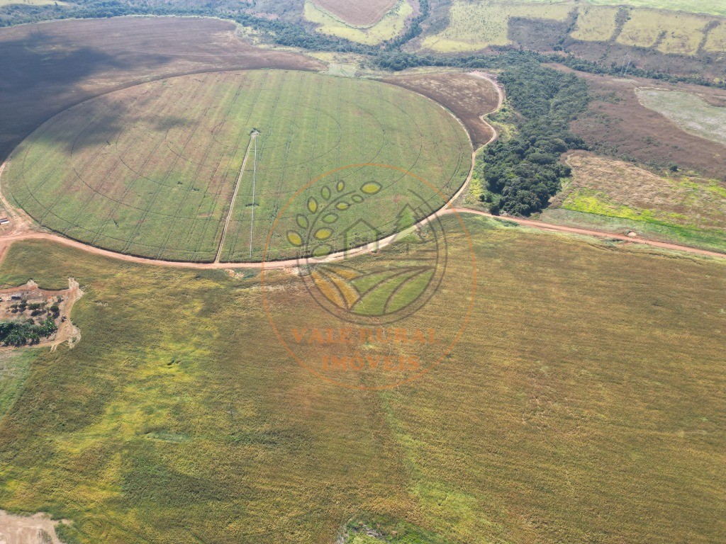 Fazenda à venda - Foto 6