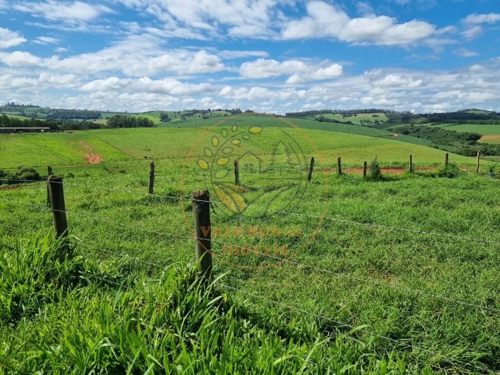 Fazenda à venda com 3 quartos - Foto 48